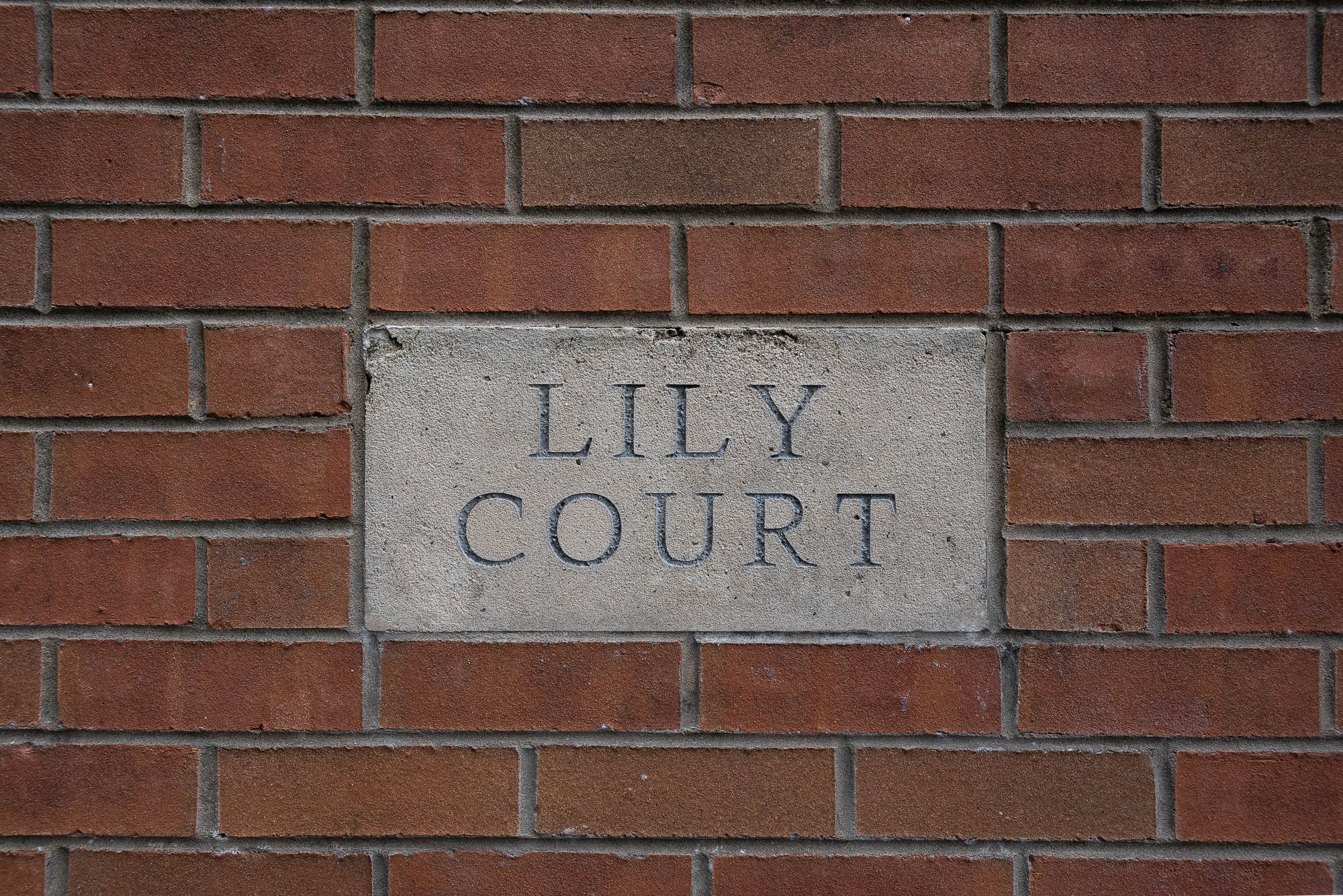 Apartment 3 Lily Court 14a Deramore Park South