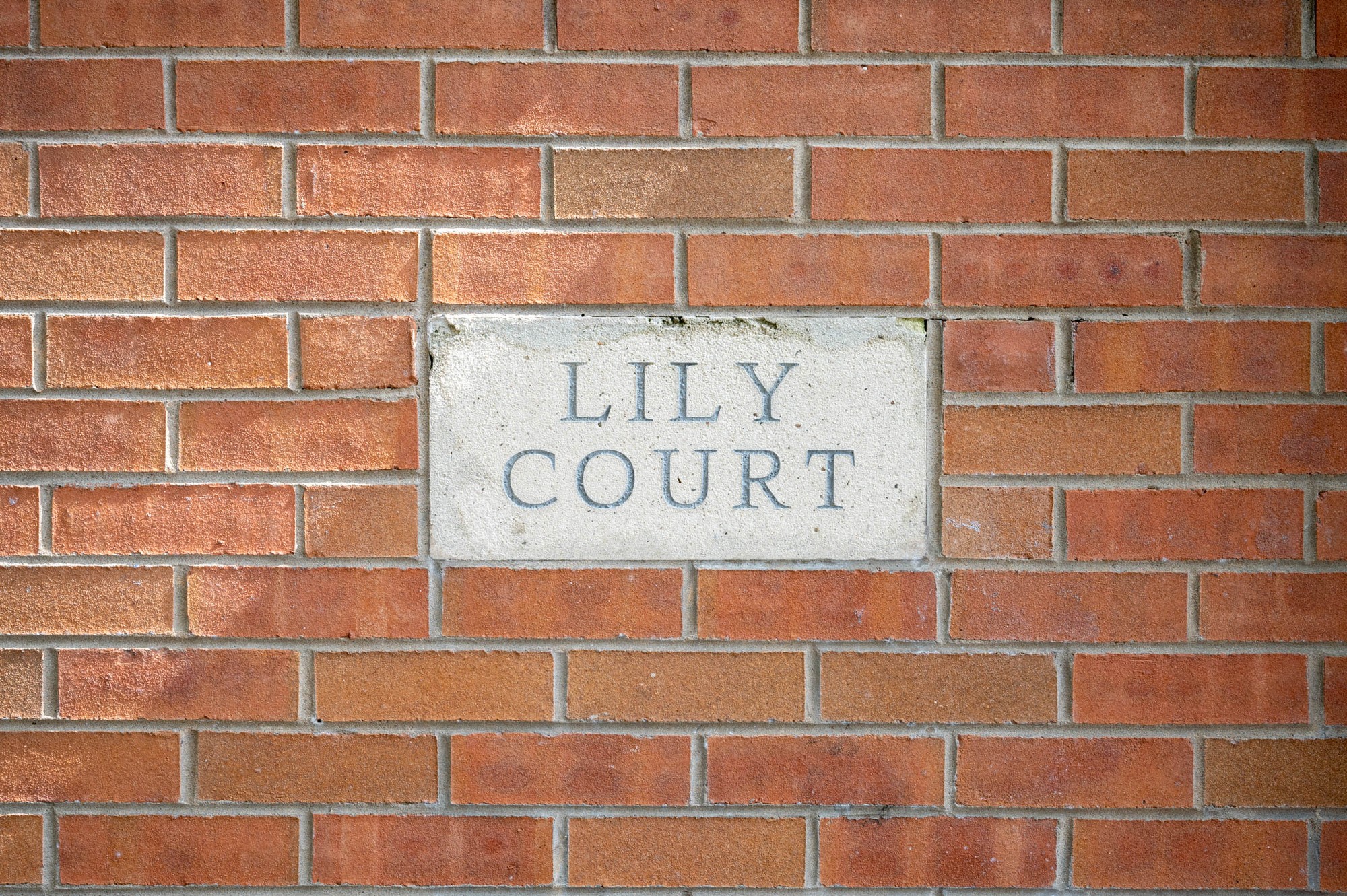 Apt 2 Lily Court